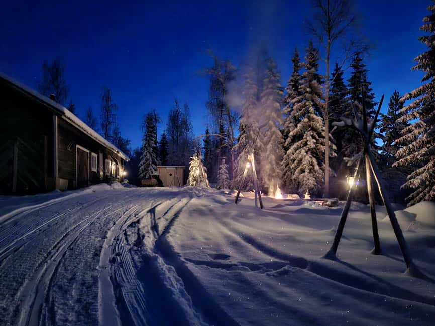 Rovaniemi:Self-drive Husky safari with a Reindeer Farm visit - Driving 5 kilometers through the snowy forest