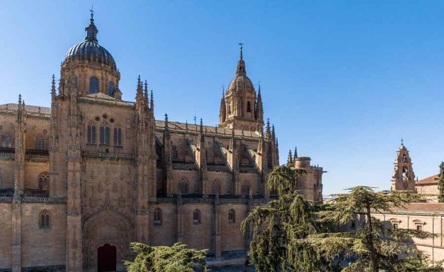 Salamanca: Cathedral of Salamanca Ticket with Audio Guide - The New Cathedral: scale, stone, and colored light
