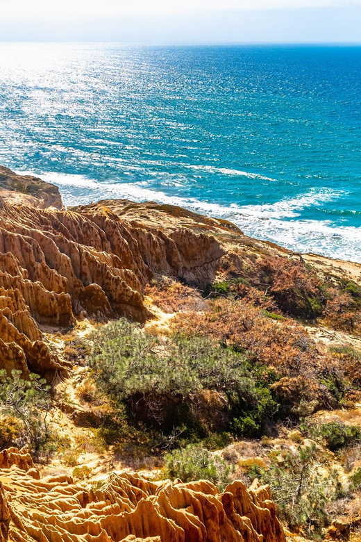 San Diego: Beaches & Bluffs Self-Guided Driving Tour - La Jolla village, best explored on foot
