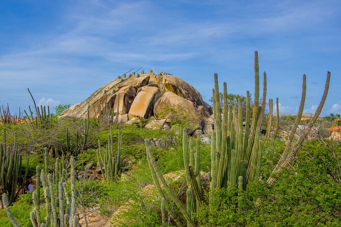 Scenic Aruba Self-Guided Driving and Walking Audio Tour - Bushiribana keeps Aruba’s gold story in view