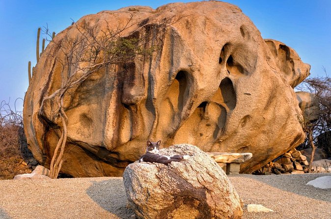 Scenic Aruba Self-Guided Driving and Walking Audio Tour - Balashi reveals another side of the gold rush