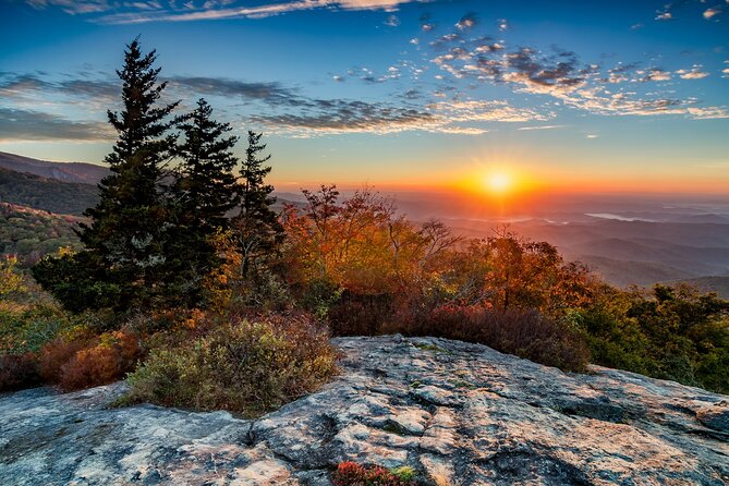 Scenic Blue Ridge Parkway Self-Guided Driving Audio Tour - Cherokee Rose and the forest recovery story
