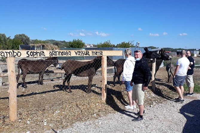 Self drive 4x4 Jeep Safari - Pick ups in the North - The forest tavern and optional moussaka