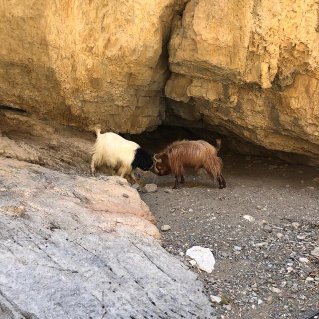 Self-Drive 4X4 Jeep Safari - South Crete Swimming & Canyons - Swimming at Tsoutsouros