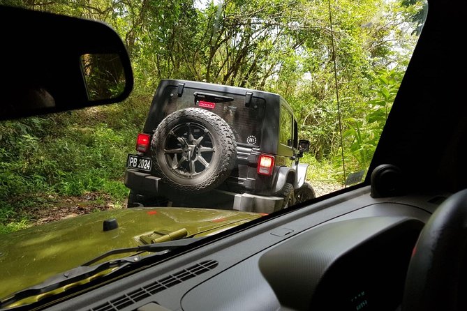 Self Drive 4x4 Off Road Jeep Wrangler & Beach Chill - Guides, safety, and vehicle condition
