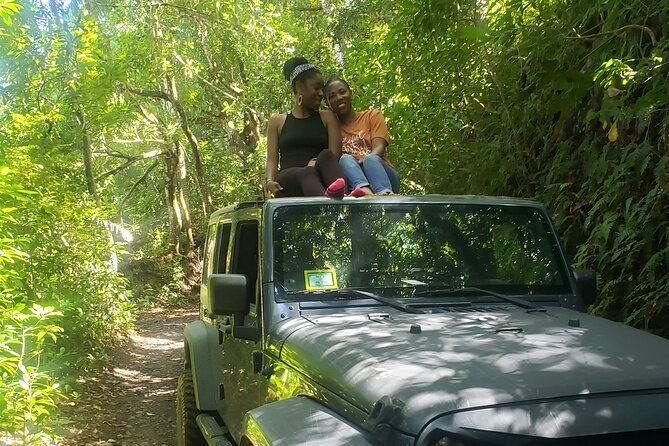 Self Drive 4x4 Off Road Jeep Wrangler & Beach Chill - Who should book this St Kitts Jeep tour?