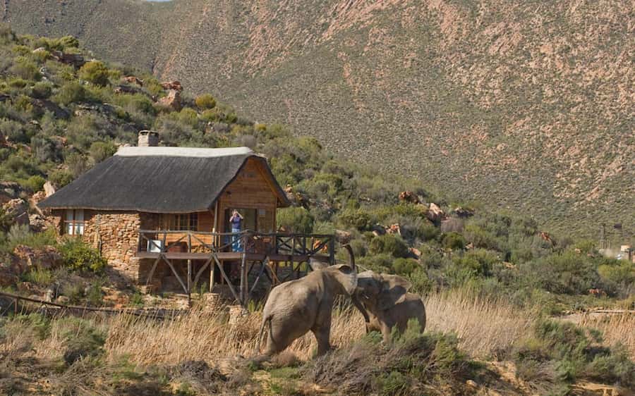 Self drive Aquila Safari Game Reserve Sunset Game Drive - Key points to know before you go