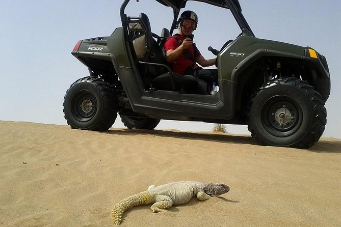 Self-Drive Buggy (Shared Buggy-2 people) or Quad Bike Safari - The halfway break and desert photos