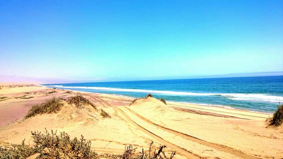 Self-Drive Guided Tour to Sandwich Harbour - A Look at Walvis Bay Salt Production