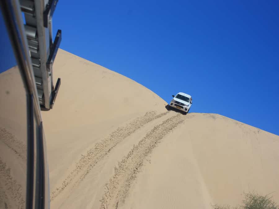 Self-Drive Guided Tour to Sandwich Harbour - Wildlife Along the Kuiseb River Delta