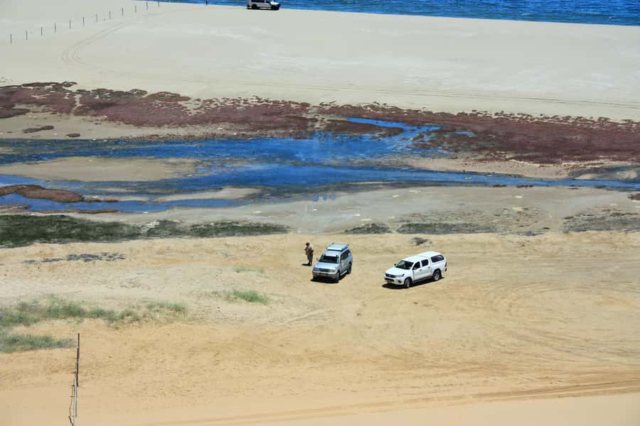 Self-Drive Guided Tour to Sandwich Harbour - Who Will Enjoy This Outing Most