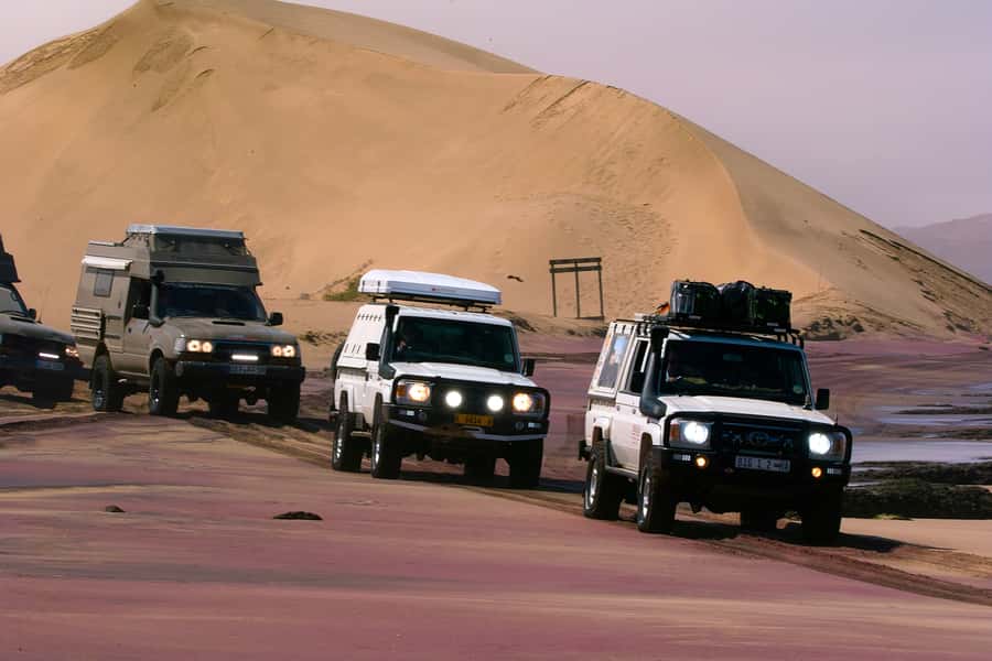 Self-Drive Guided Tour to Sandwich Harbour - Flamingos at the Walvis Bay Lagoon