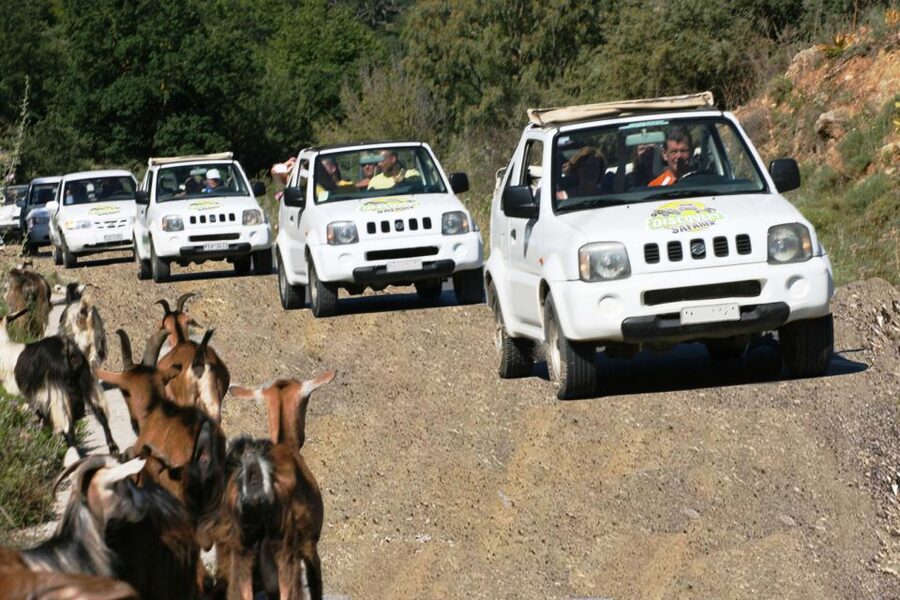 Self-Drive Jeep Safari to South Coast, Palm Beach & Canyons - Coffee beside Potamon Dam