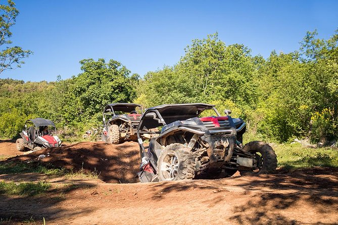 Self-drive Off Road Buggy - The buggy itself: control, comfort, and shared driving