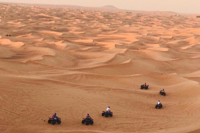 Self Drive Quad Bike in Open Desert With Sand Boarding and Camels - A short camel ride and time for pictures