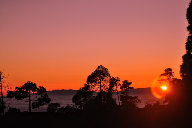 Self Drive Sunset & Stargazing in Teide National Park with Dinner - Canarian dinner at Restaurante 7 Cañadas