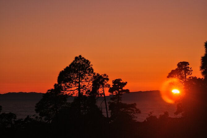 Self Drive Sunset & Stargazing in Teide National Park with Dinner - Who should book this experience?