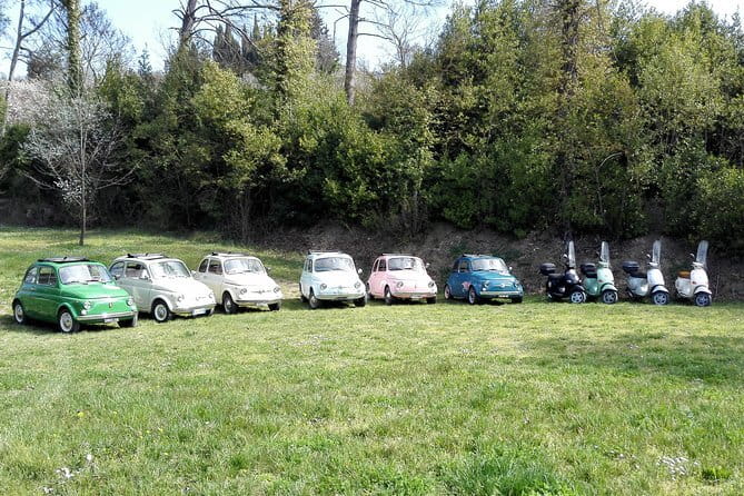 Self-Drive Vintage Fiat 500 Tour: Gourmet Lunch and Wine Tasting - Wine, olive oil, and the value of the meal