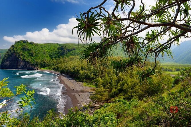 Self-Guided Audio Driving Tour in Big Island - Hawi, Kapaau, Pololu, and Waipio