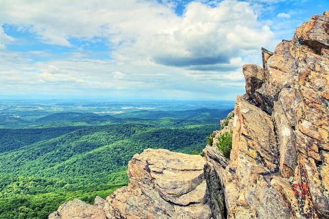Self-Guided Audio Driving Tour in Blue Ridge Parkway - Asheville deserves a full day, not a quick detour