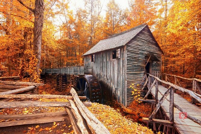 Self-Guided Audio Driving Tour in Great Smoky Mountains - Roaring Fork Motor Nature Trail and Grotto Falls