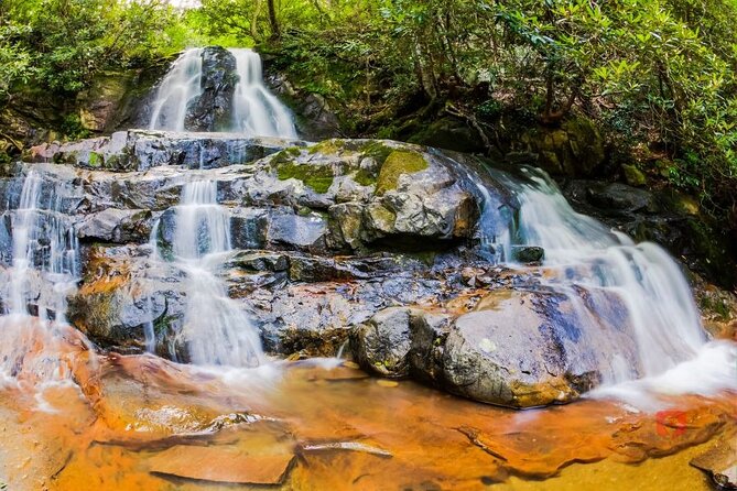 Self-Guided Audio Driving Tour in Great Smoky Mountains - Mingus Mill and the North Carolina side
