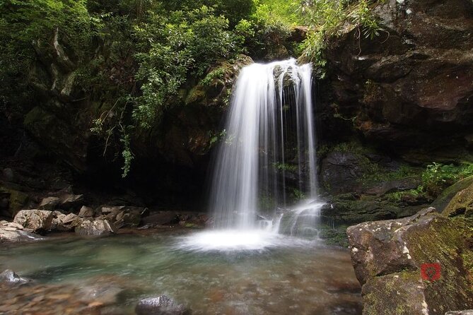 Self-Guided Audio Driving Tour in Great Smoky Mountains - How much time should you set aside?