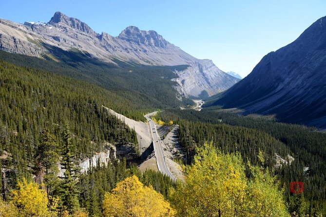 Self-Guided Audio Driving Tour in Icefields Parkway - The Weeping Wall and Peyto Lake