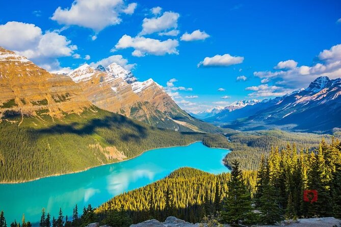 Self-Guided Audio Driving Tour in Icefields Parkway - Parker Ridge: the stop that needs planning