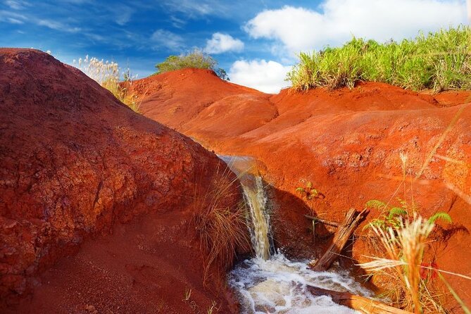 Self-Guided Audio Driving Tour in Kauai - Who should buy it?