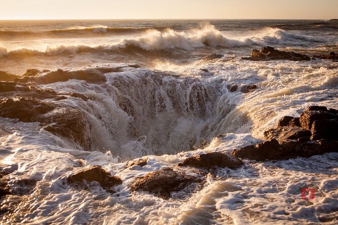 Self-Guided Audio Driving Tour in Oregon Coast - Cape Perpetua puts the ocean’s force on display