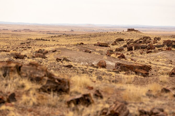 Self-Guided Audio Driving Tour in Petrified Forest National Park - Starting at the Painted Desert Visitor Center
