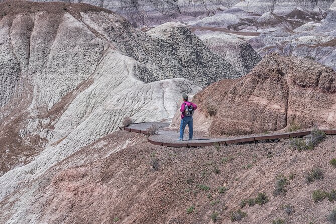 Self-Guided Audio Driving Tour in Petrified Forest National Park - Newspaper Rock and the Blue Forest trailhead