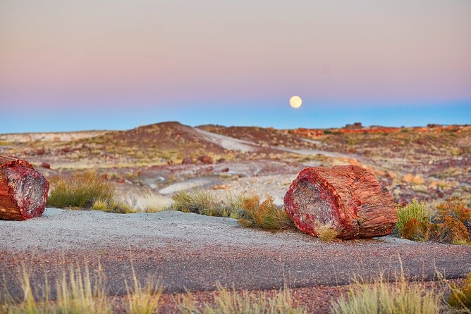 Self-Guided Audio Driving Tour in Petrified Forest National Park - Painted Desert viewpoints: Tiponi Point and the Rim Trail
