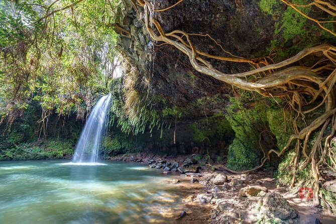 Self-Guided Audio Driving Tour in Road To Hana - Ke‘anae Arboretum shows Maui’s tropical side
