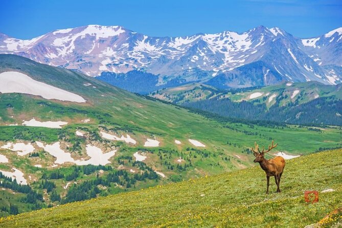 Self-Guided Audio Driving Tour in Rocky Mountain National Park - Alpine Visitor Center and Huffers Hill