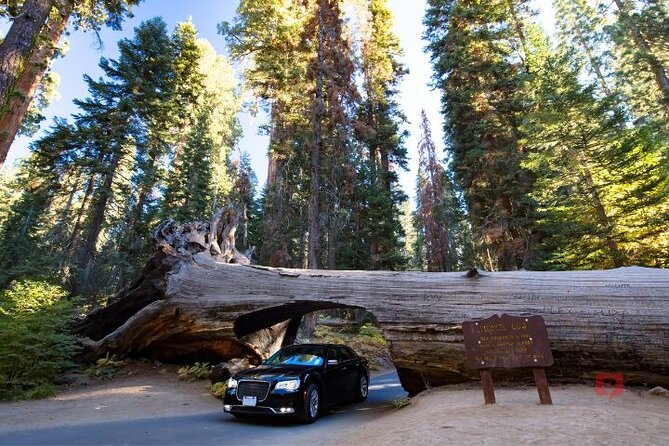 Self-Guided Audio Driving Tour in Sequoia and Kings Canyon - Hospital Rock and the human story of the park