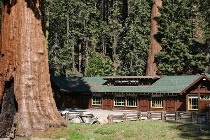 Self-Guided Audio Driving Tour in Sequoia and Kings Canyon - Tunnel Rock and the road through a fallen sequoia