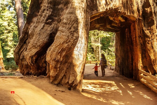 Self-Guided Audio Driving Tour in Yosemite - Wawona’s bridge and Yosemite’s human past