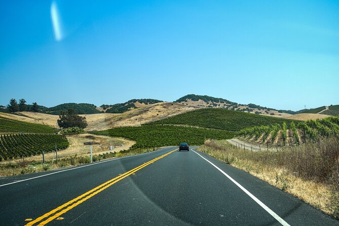 Self-Guided Audio Driving Tour of Sonoma and Napa Valley - The Petrified Forest and three-million-year-old redwoods