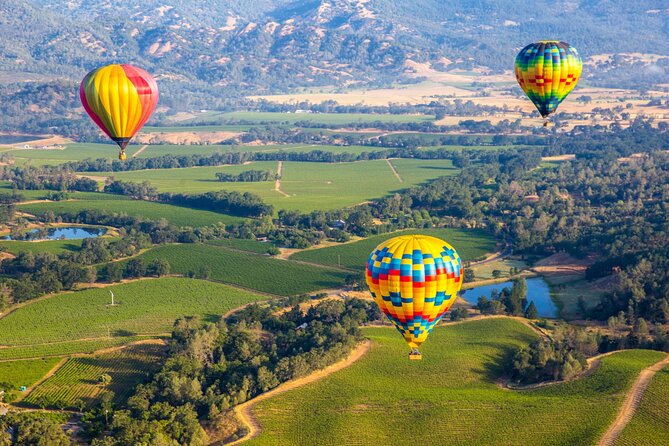 Self-Guided Audio Driving Tour of Sonoma and Napa Valley - St. Francis Winery and Vineyards in Sonoma County
