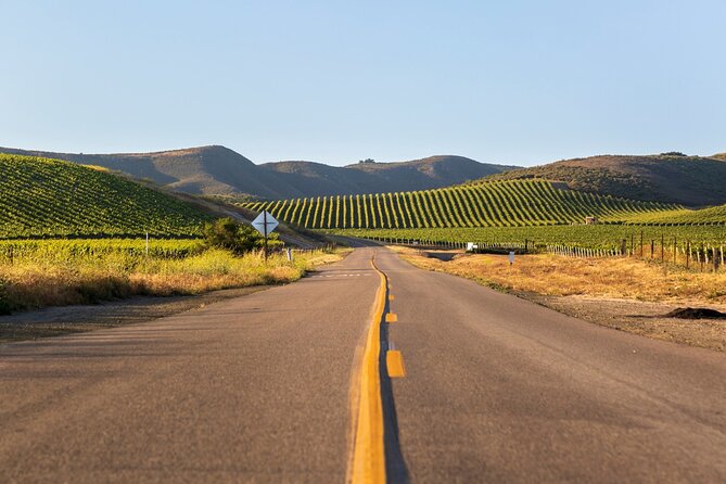 Self-Guided Audio Driving Tour of Sonoma and Napa Valley - Chateau Montelena and the Judgment of Paris connection