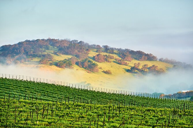 Self-Guided Audio Driving Tour of Sonoma and Napa Valley - Starting with V. Sattui Winery