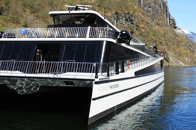 Self-Guided Bergen to Oslo Daytrip With Flamsbana & Fjordcruise - The long final run to Oslo