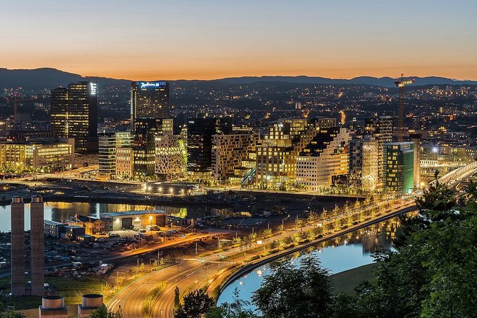Self-Guided Bergen to Oslo Daytrip With Flamsbana & Fjordcruise - What $431.77 buys you