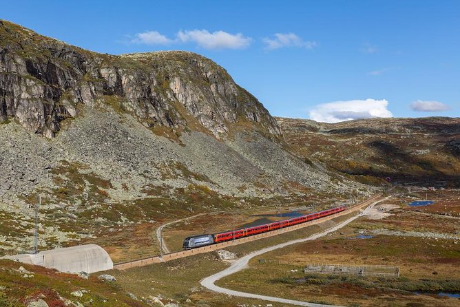 Self-Guided Bergen to Oslo Daytrip With Flamsbana & Fjordcruise - Changing from train to bus at Voss