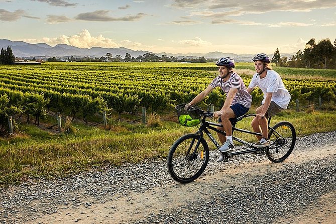 Self-Guided Biking Wine Tour (full day) in the Marlborough Region. - How the value compares with a fixed wine tour