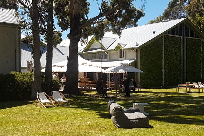 Self-Guided Biking Wine Tour (full day) in the Marlborough Region. - Choosing the right bike for your group
