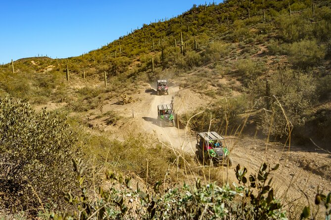 Self-Guided Centipede Desert UTV Rental - Is $107.74 per person good value?