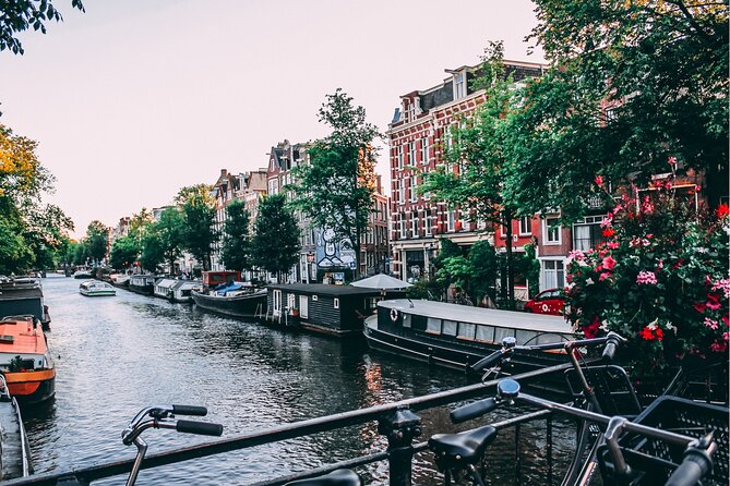 Self-guided city walking tour in Amsterdam - Leidseplein, Vondelpark, and Museumplein
